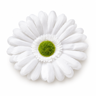 Umelý kvet gerbera / margarétka – biela, priemer 12 cm
